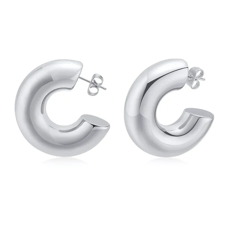 Normarie Earrings Silver